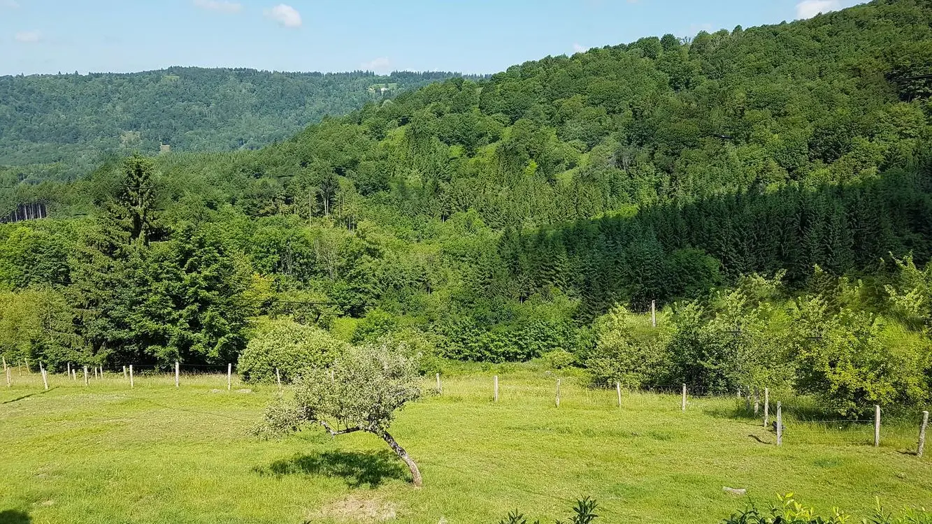 La Ferme de Là-Haut_20