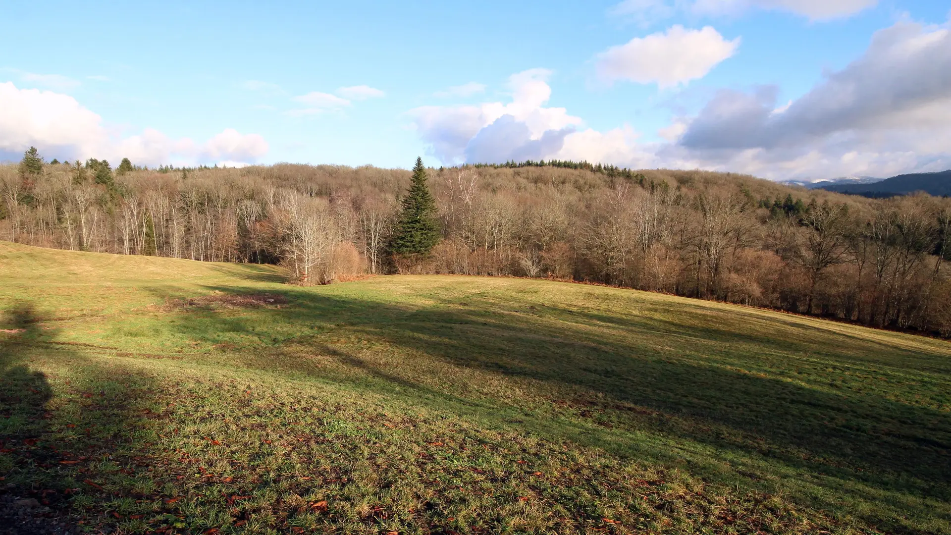 Gîte des Prary - 12 personnes_23