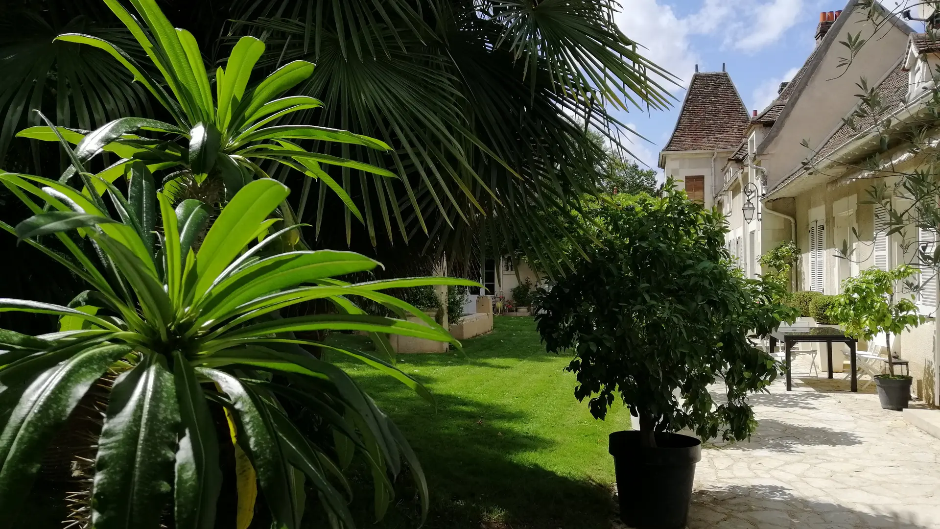 La Terrasse et ses fruitiers