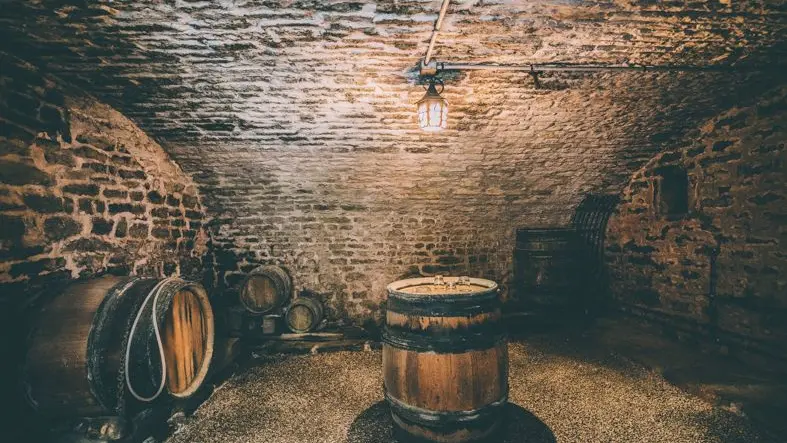 Cave à vins