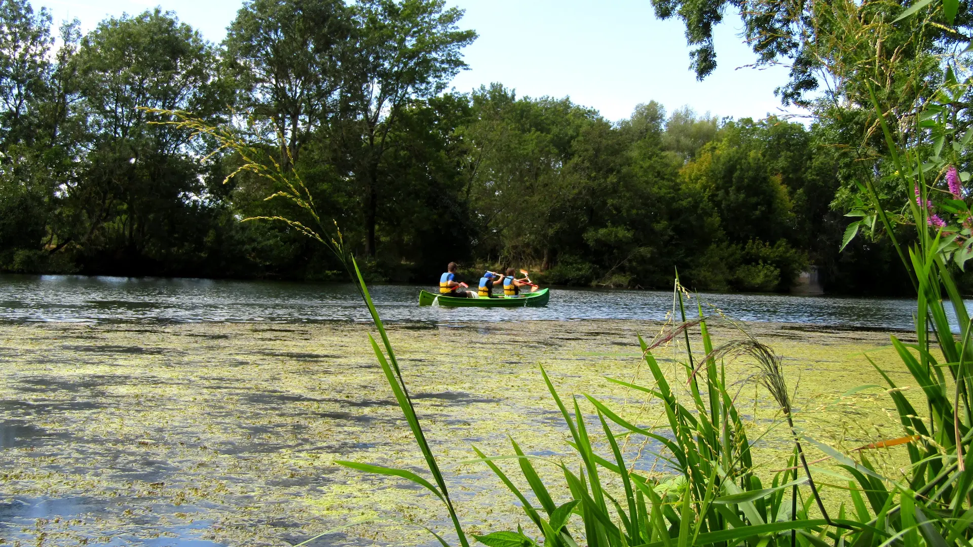 l'Ognon rivière de 1er catégorie