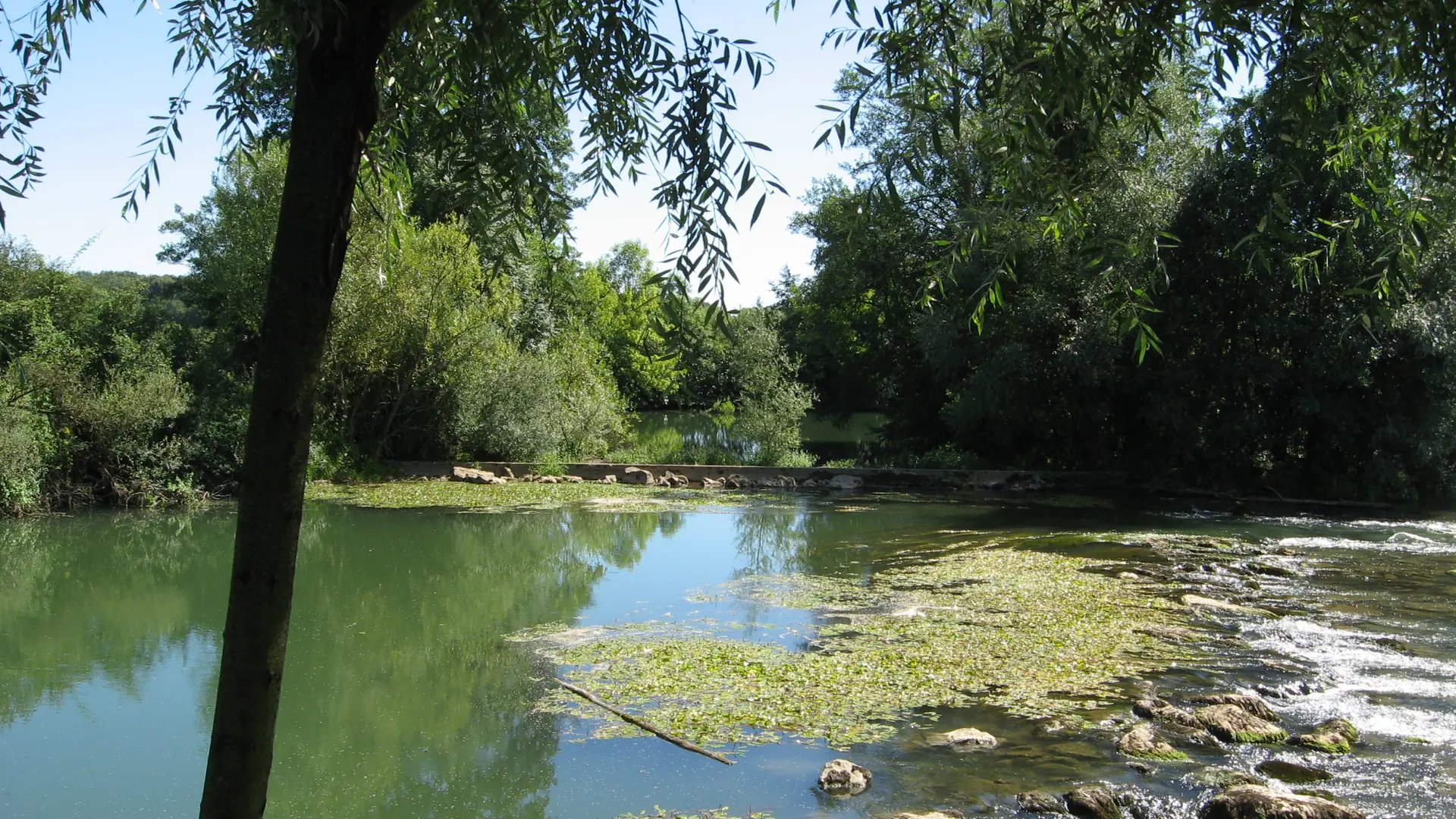 L'Ognon à Brussey_3