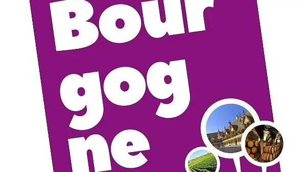 logo bourgogne passions