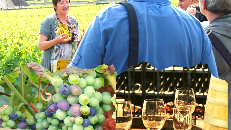 les escapades oenologiques Vougeot(1)