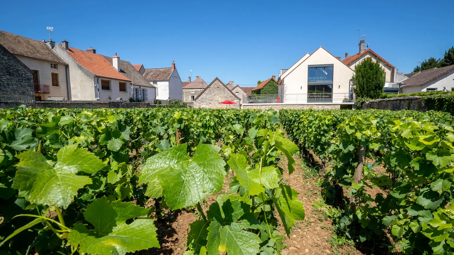 maison-des-rugiens-63