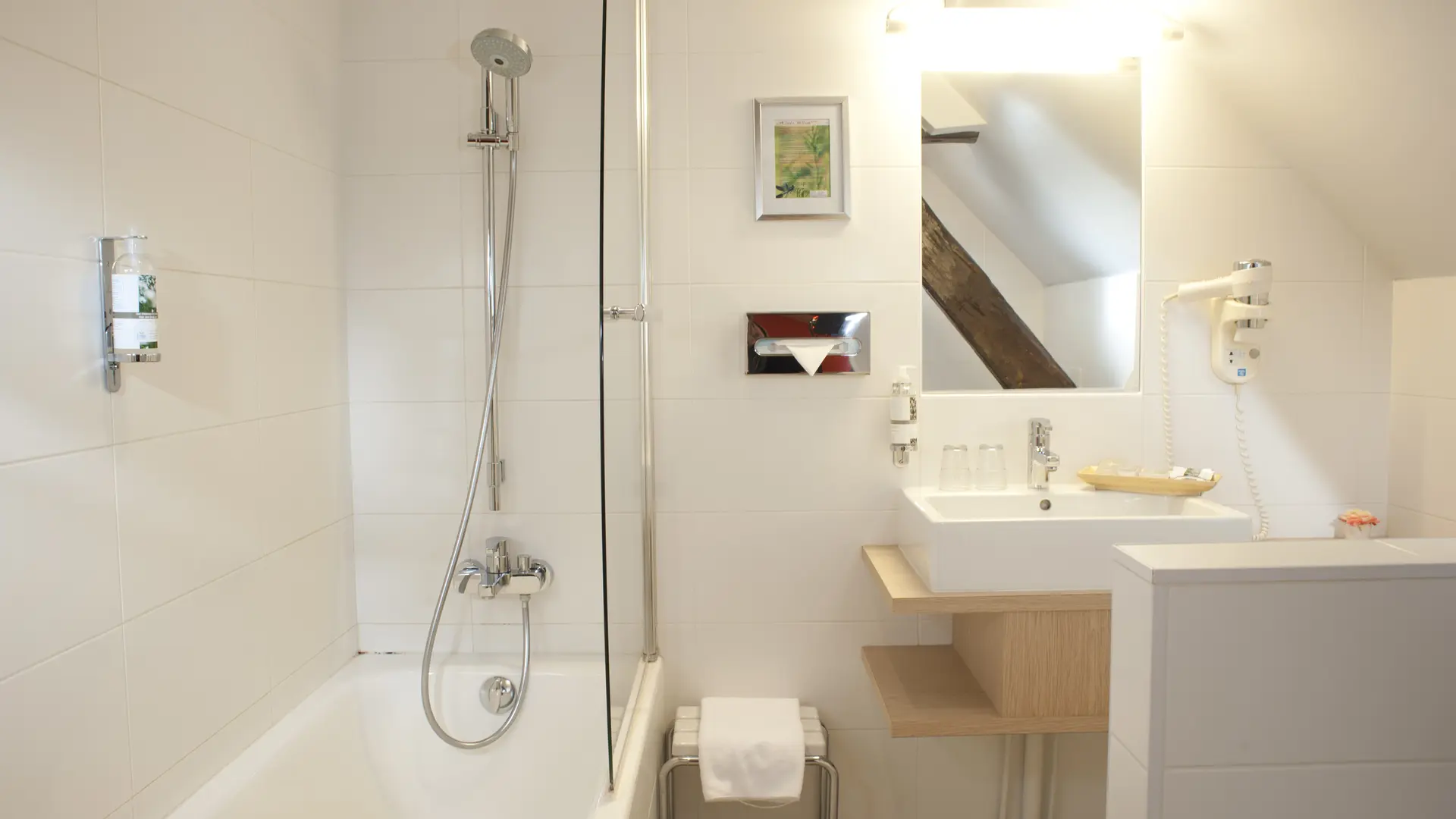 salle-de-bain-hotel-wilson-dijon-classique