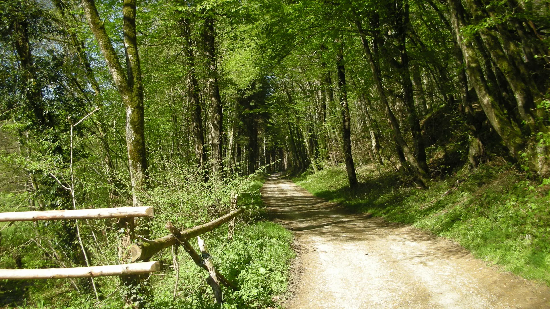 Sentier aux aborbs du gîte (Gîte Christal)