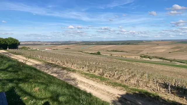 paysage wine liaison