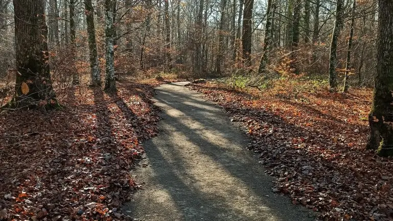 PARCOURS DE SANTÉ À ST SAUVEUR