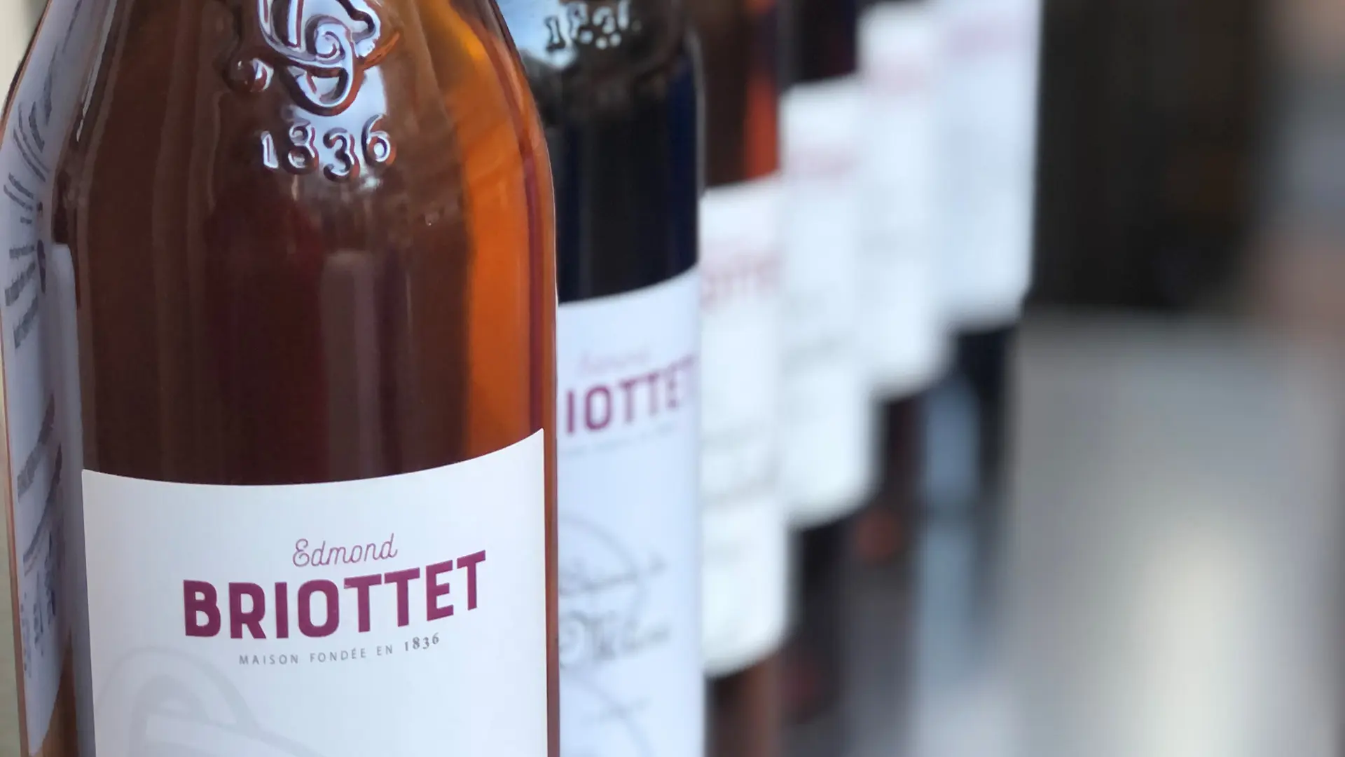 Pêche de vigne and co