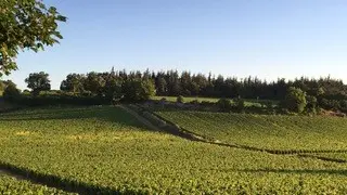 Les Maisons de Chamirey