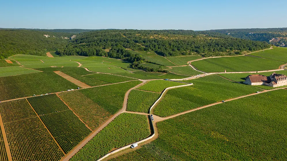 photo-clos-vougeot-ciel