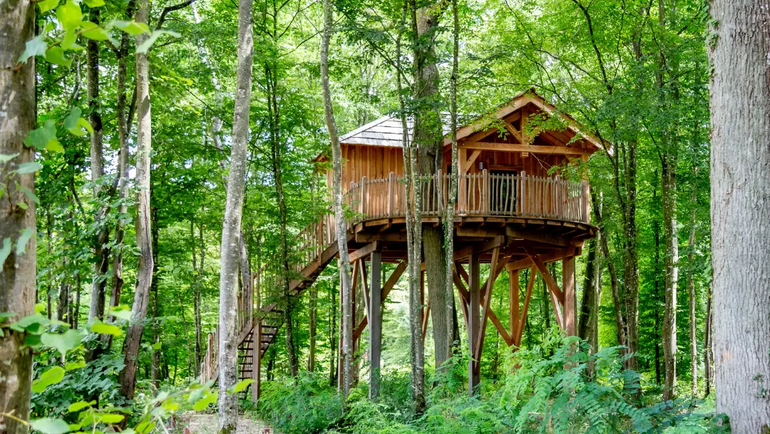 Cabane perchée