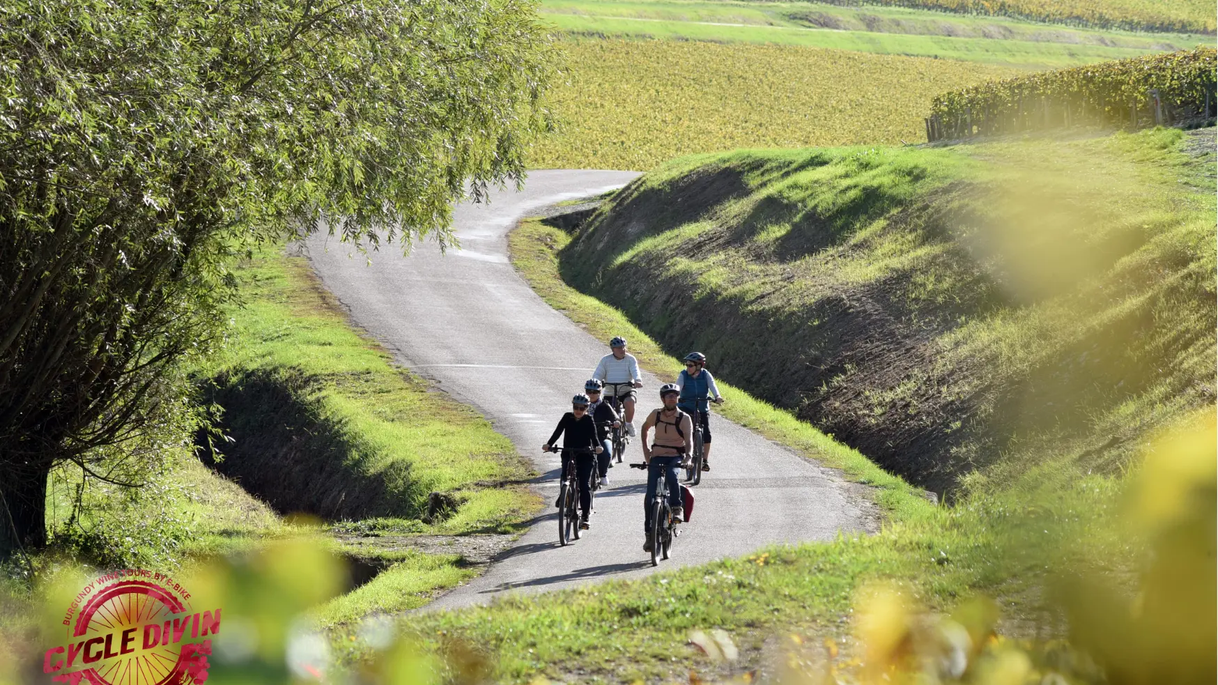 Balade dans le vignoble Chablisien