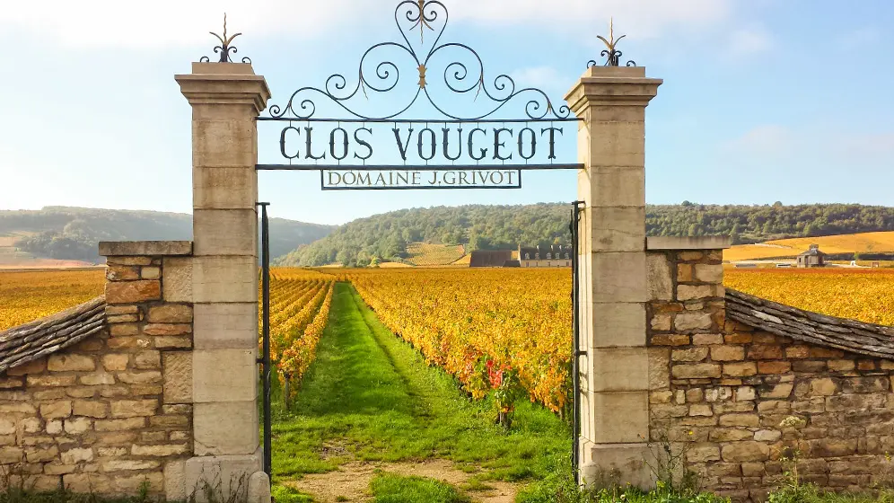 photo-porte-clos-vougeot