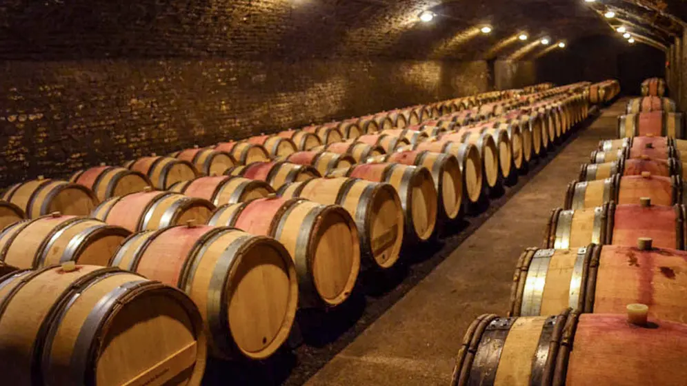 photo-visite-de-caves-cote-beaune