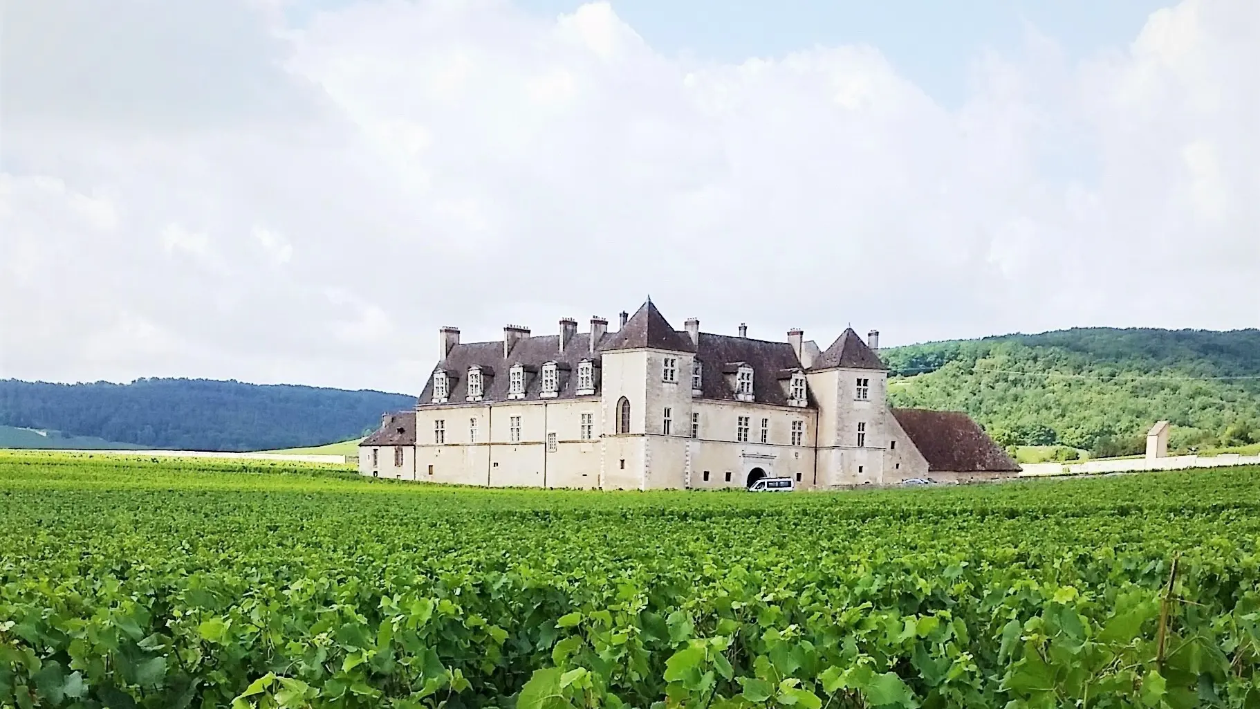 clos de vougeot