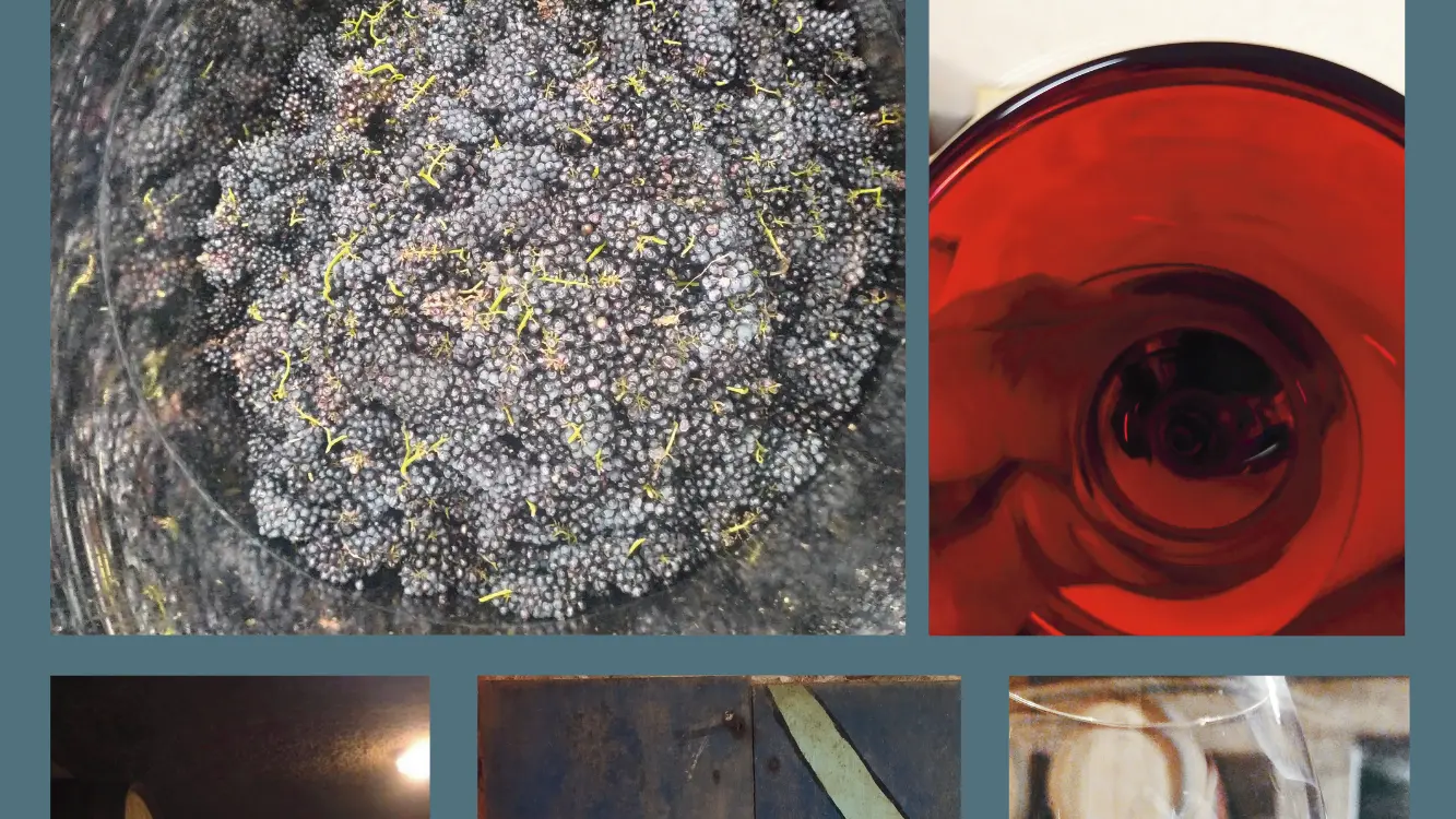 presentation-domaine-thevenot-le-brun-vin-de-bourgogne