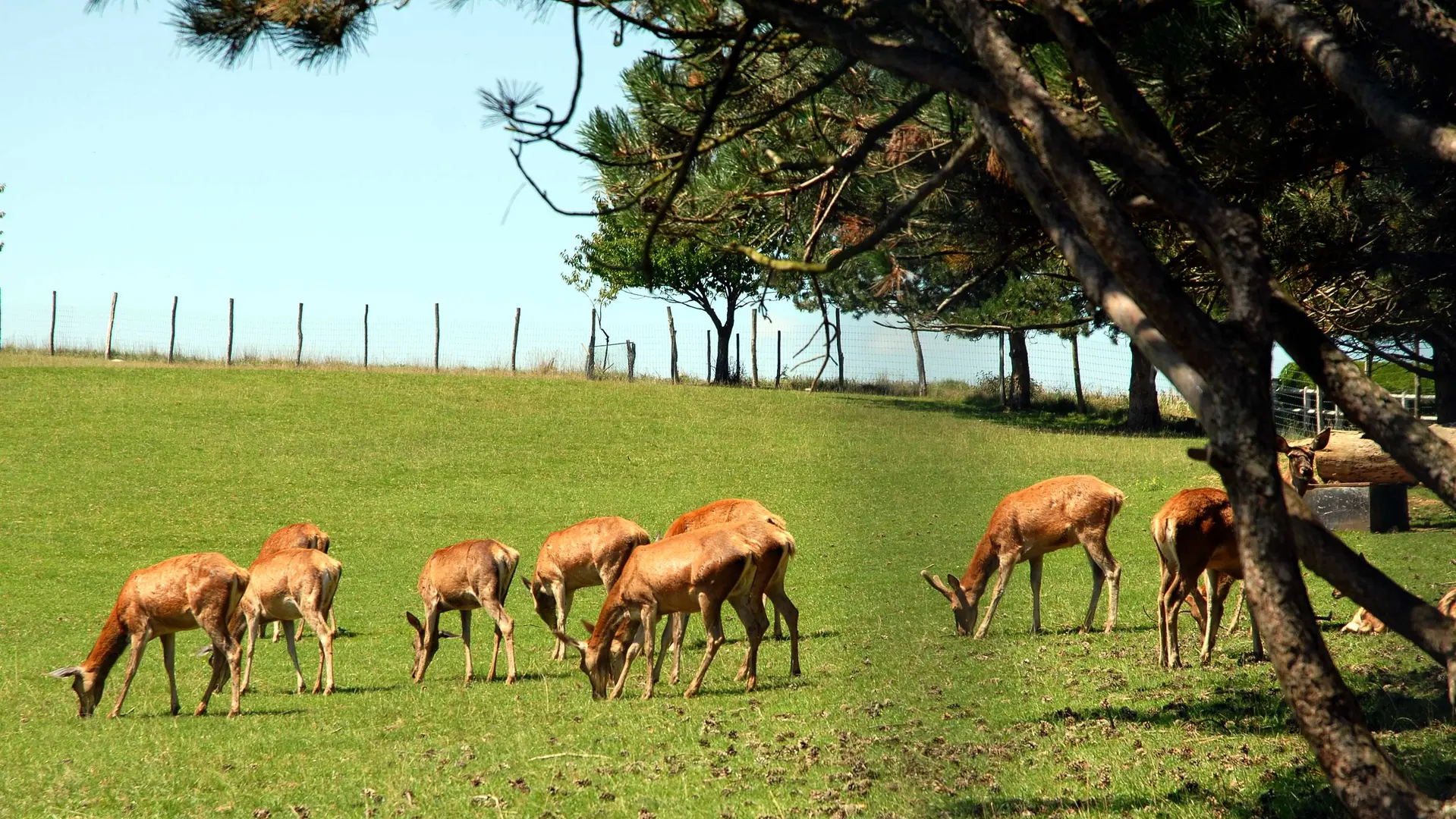 Pause nature à Vyans-le-Val