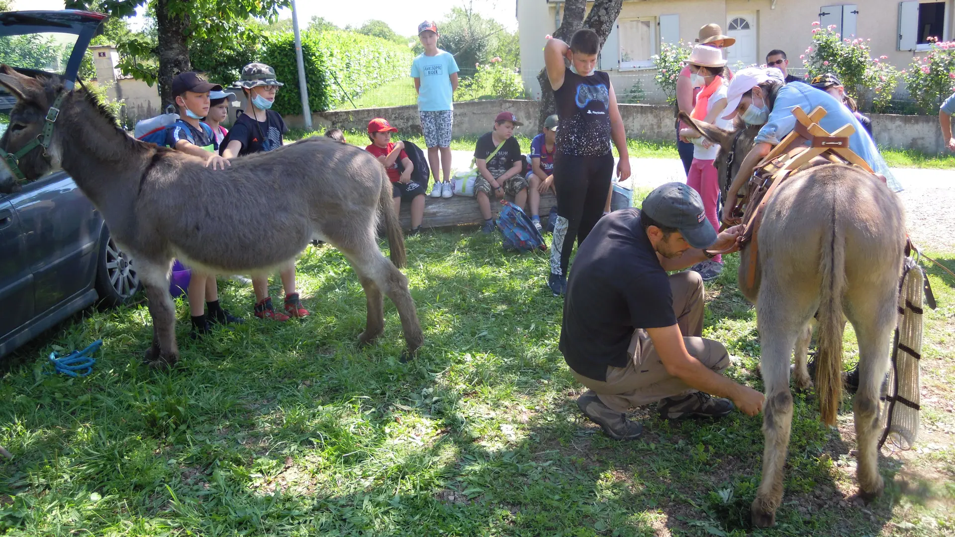 randonnée en ânes du 17 juillet