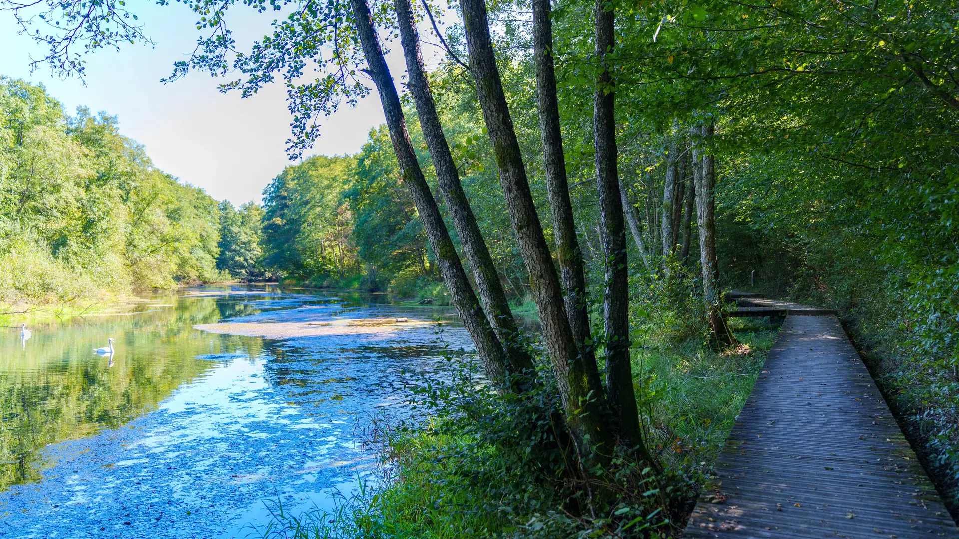 Le sentier de la Reigne