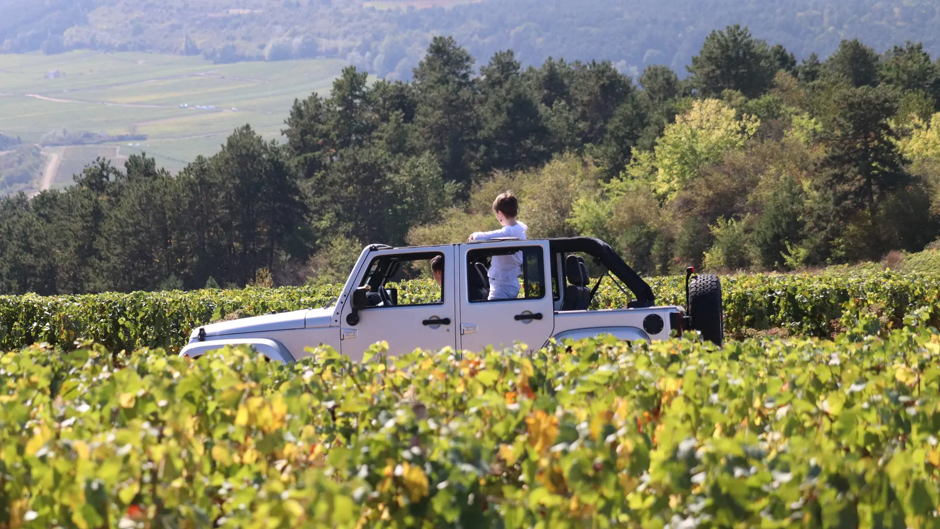 wine-tour-vignoble-bourgogne-sensation-vin