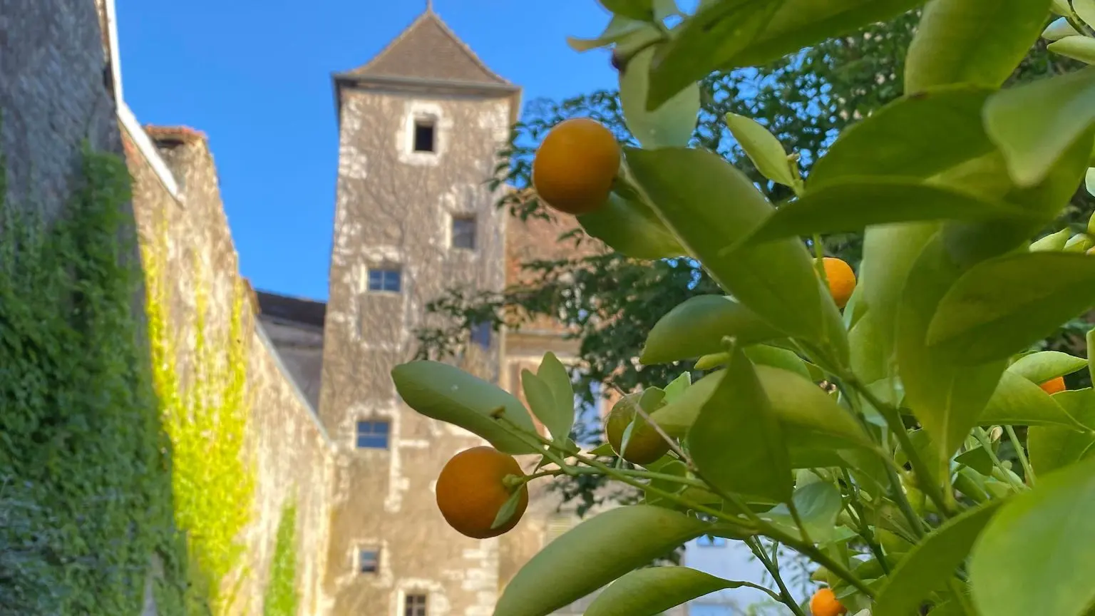Tour St Pierre