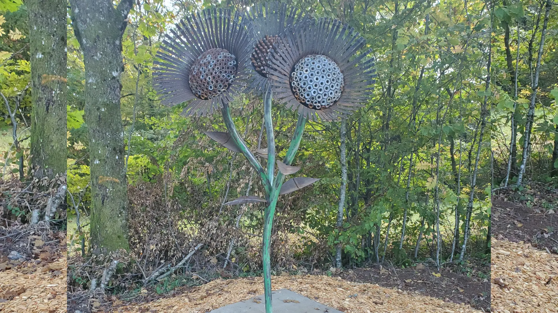 François Dos Santos - terrorista flower