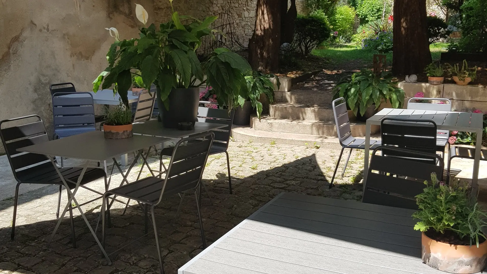 terrasse - Le Chat qui Pense