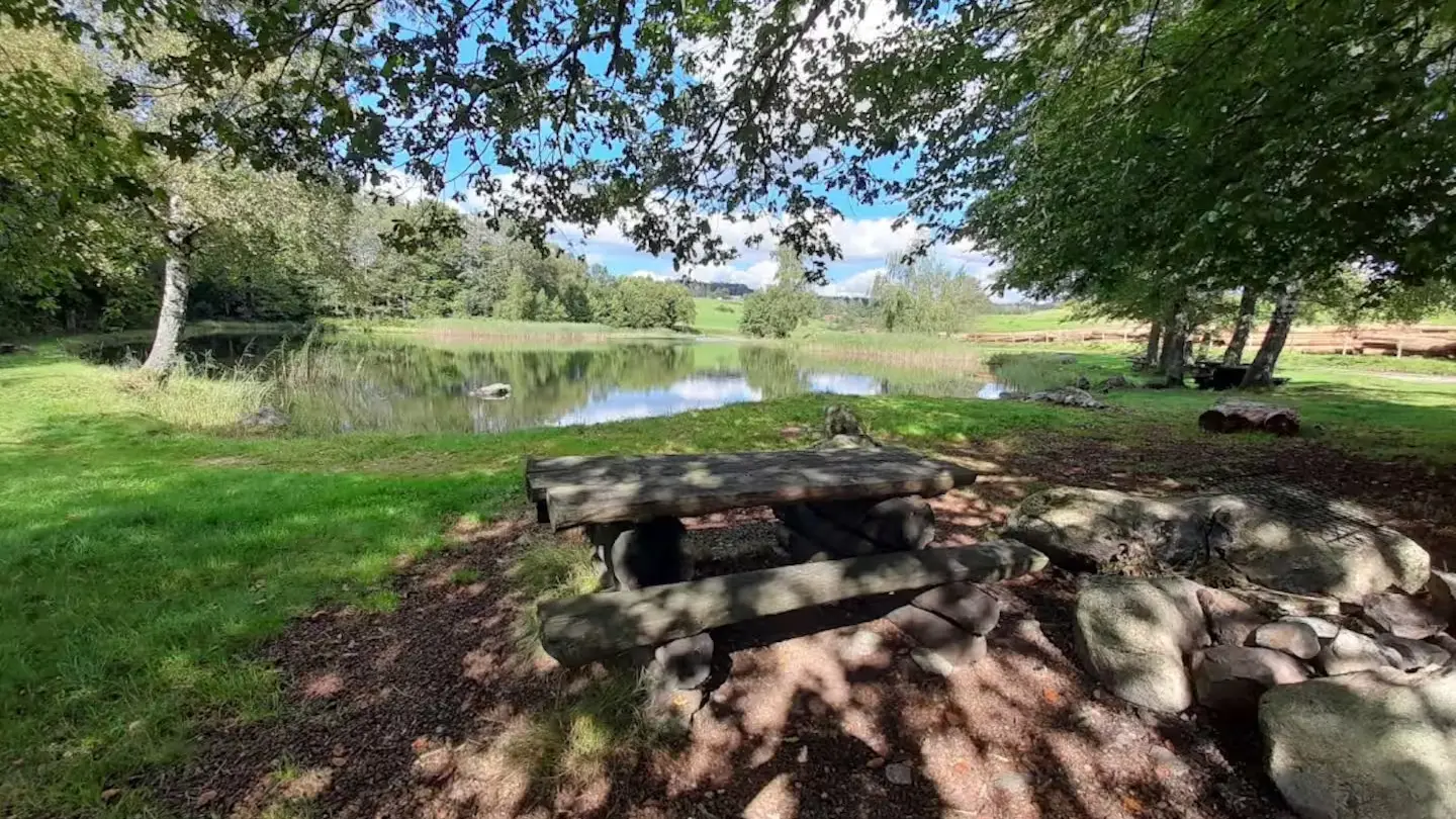 tiny-des-rêve-environnement
