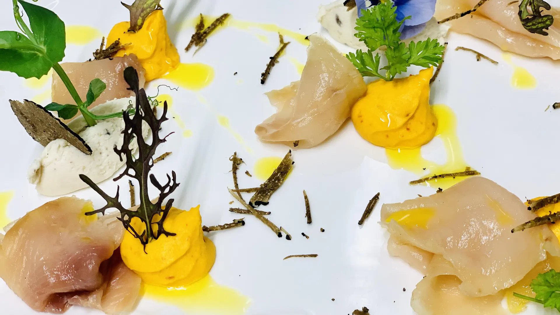 Plat du Moulin de la Coudre