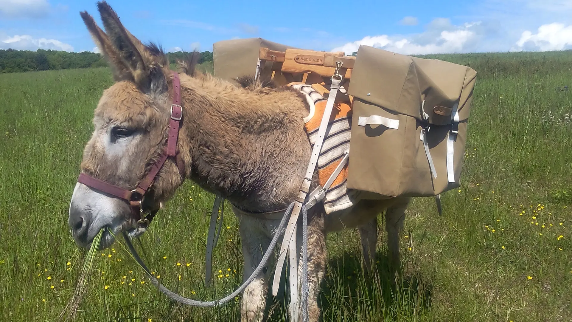 Grande randonnée avec Vanille