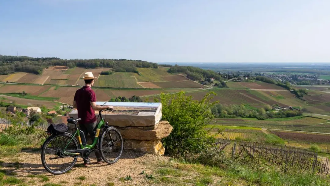 velo buxy  panorama-vignoble-1080x718