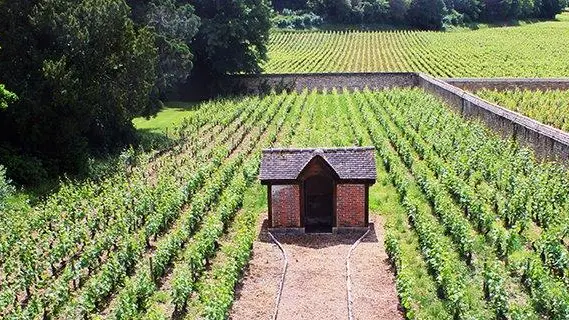 vigne clos avec cadole