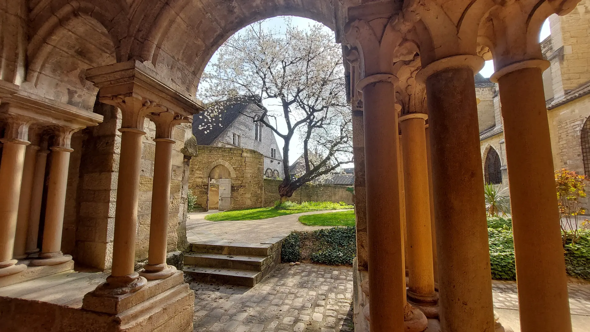 cloître N.Dame