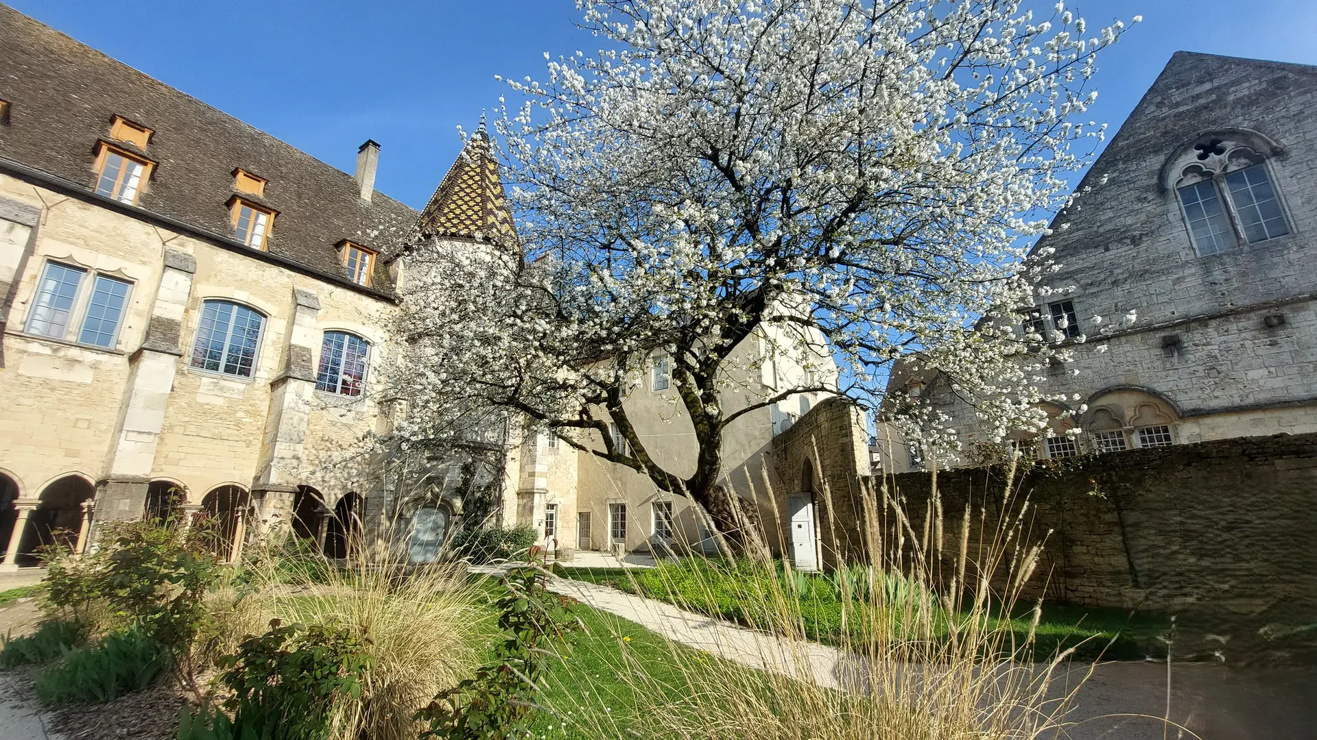 cloître N.Dame