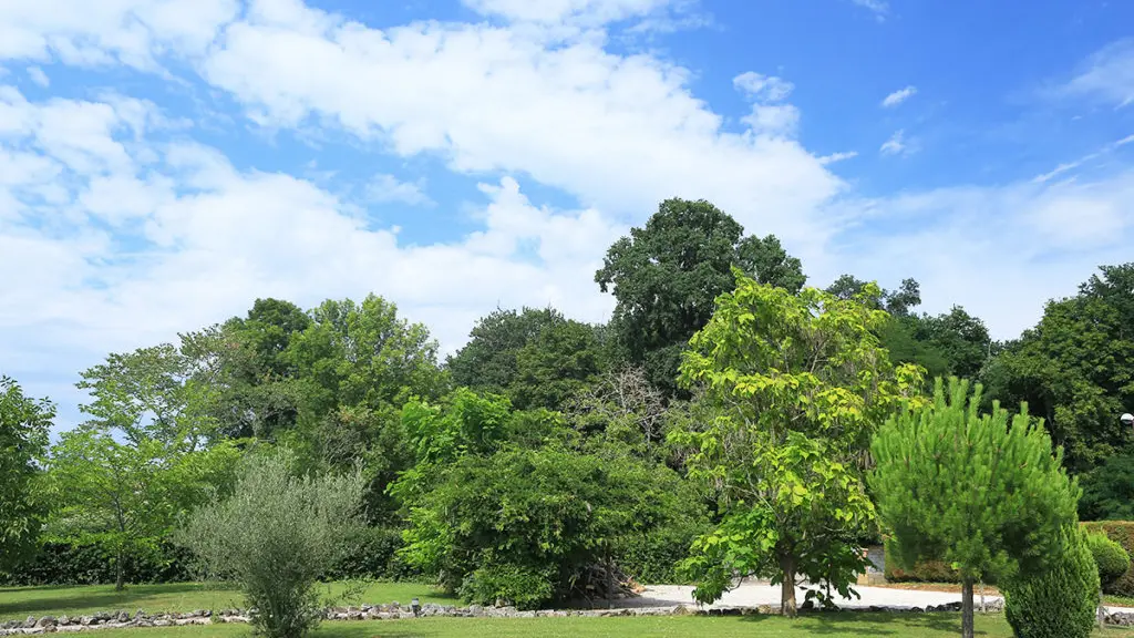Jardin commun