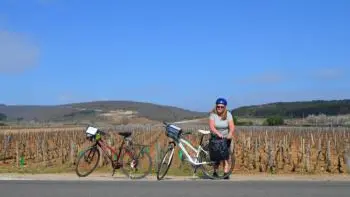 à vélo dans les vignes