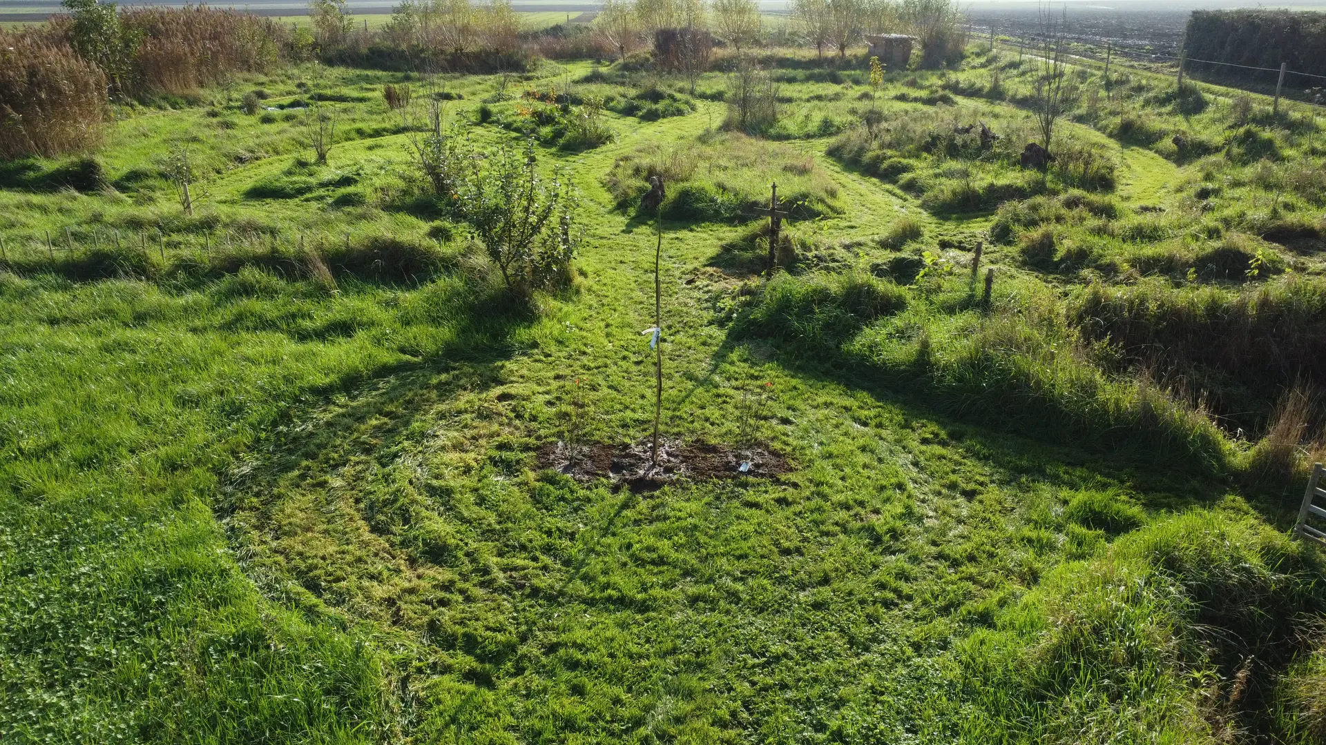 Massif polownia 01