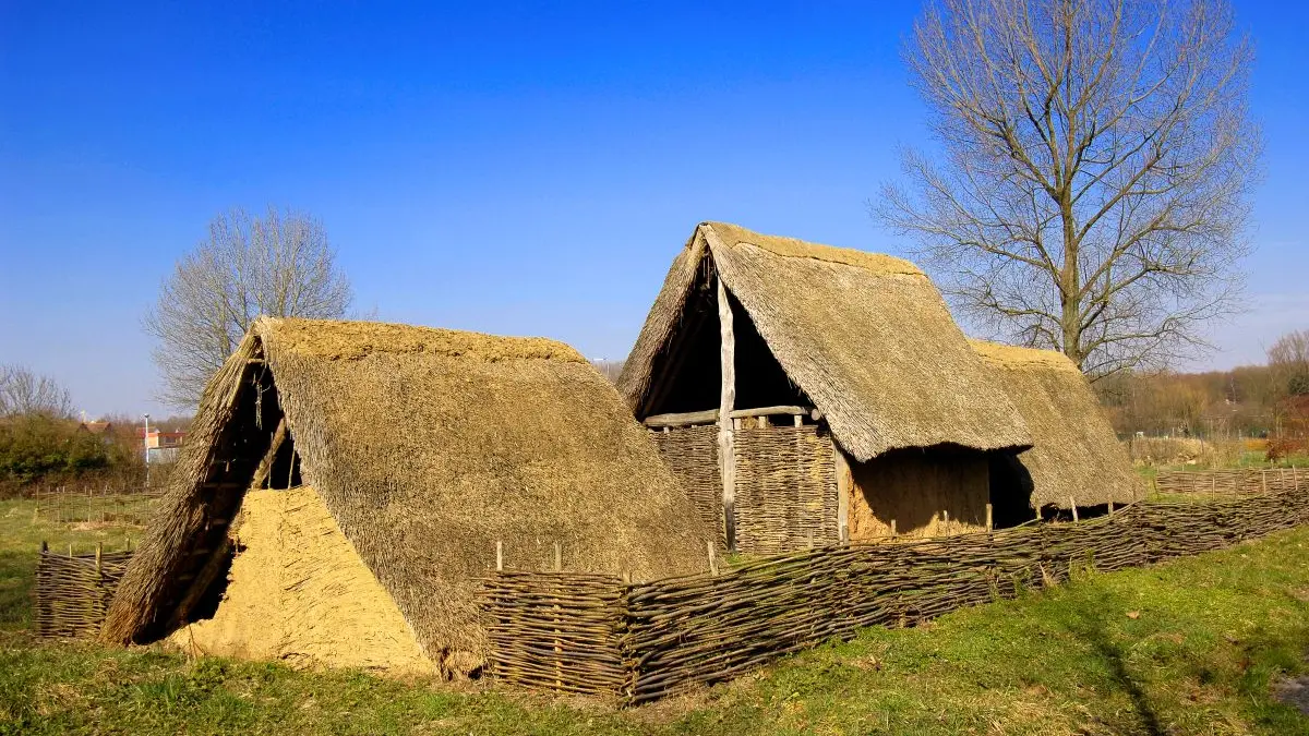 Asnapio parc archeologique