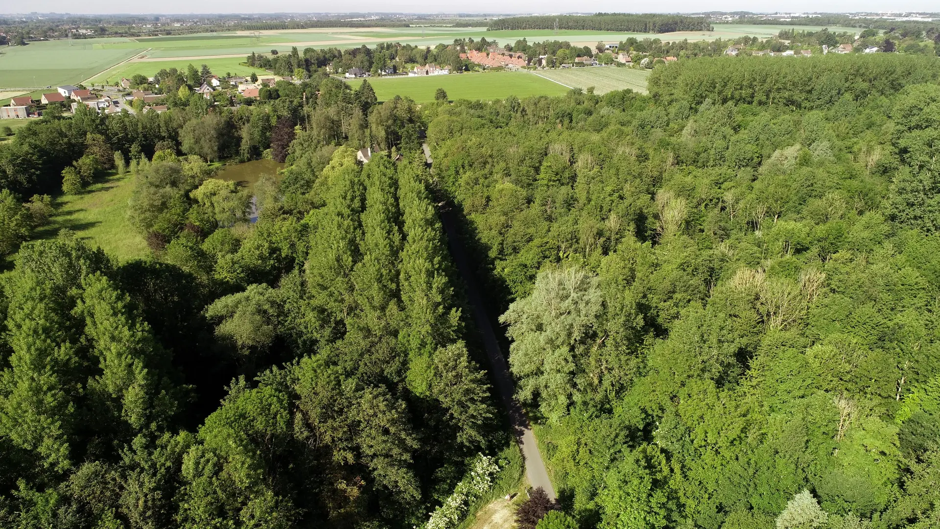 Bois de la Noyelle