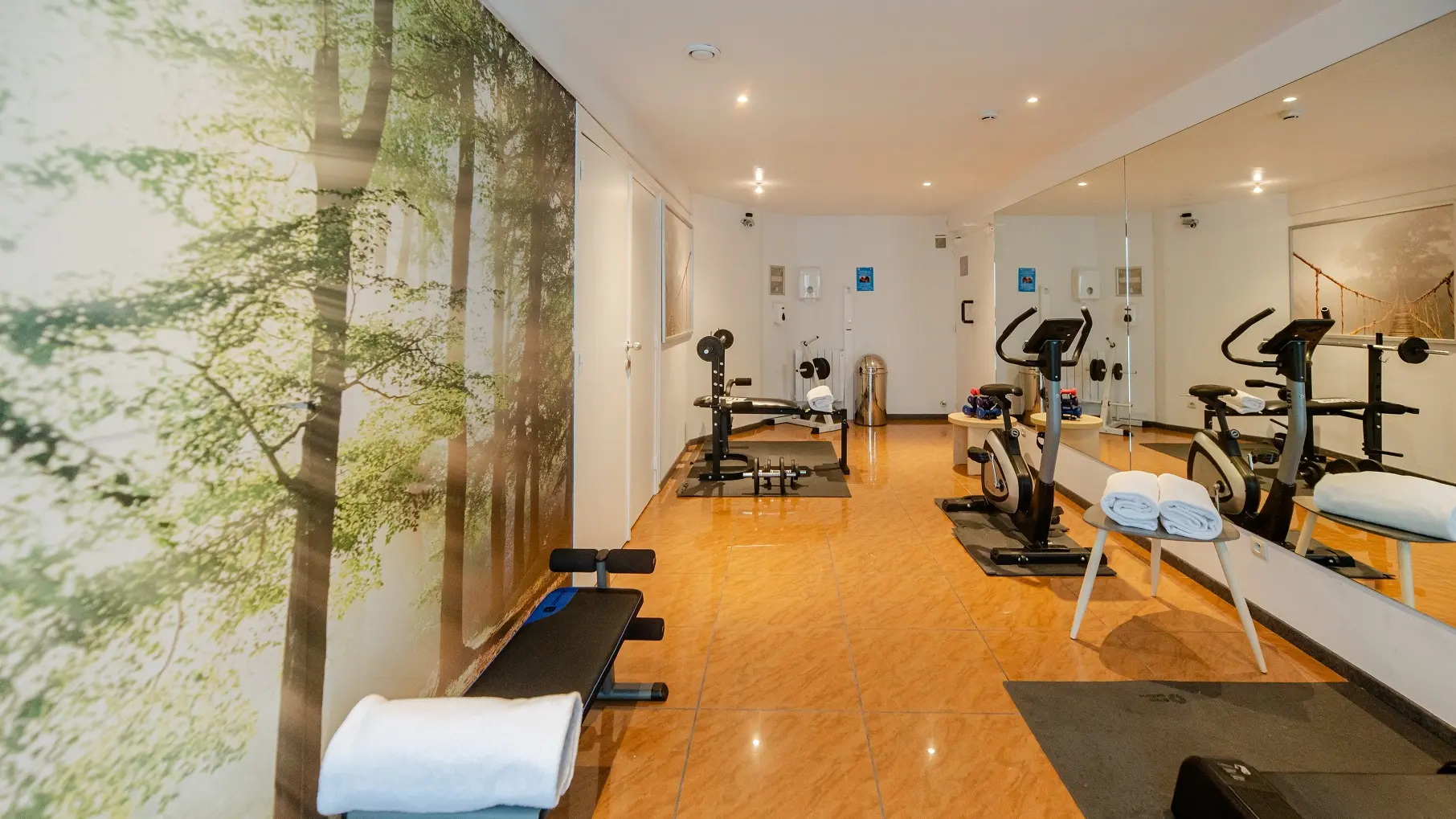 LOGIS HÔTEL DES ACACIAS - Salle de fitness