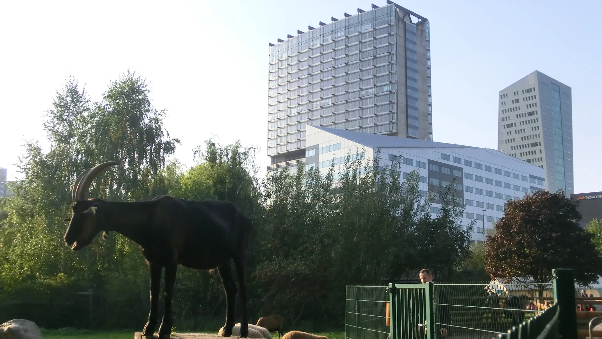 Ferme Marcel Dhenin © Lille Tourisme (10)