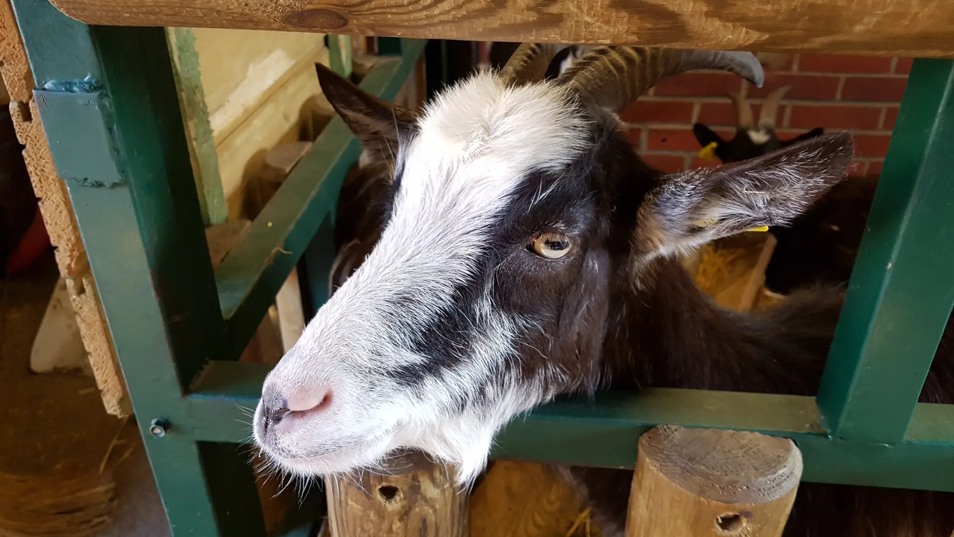 Ferme Marcel Dhenin © Lille Tourisme (5)