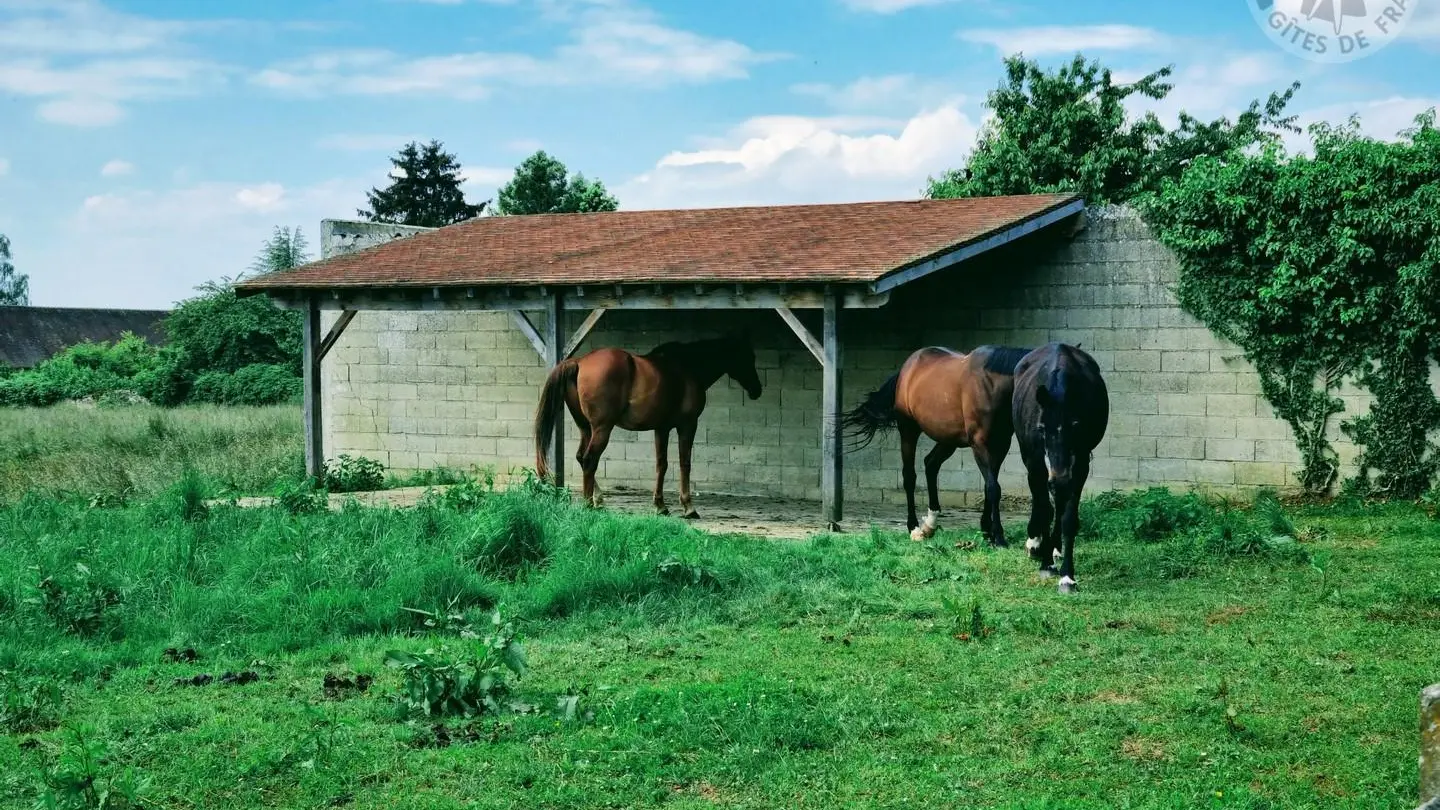 LARGNY SUR AUTOMNE Le Manoir de la Cour