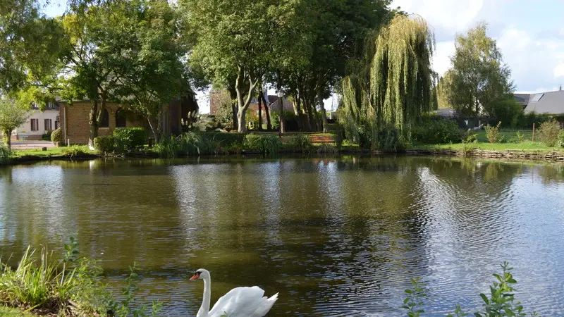 SEUX Les pieds dans l'herbe