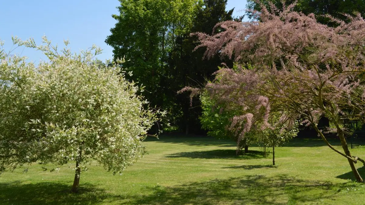 SEUX Les pieds dans l'herbe