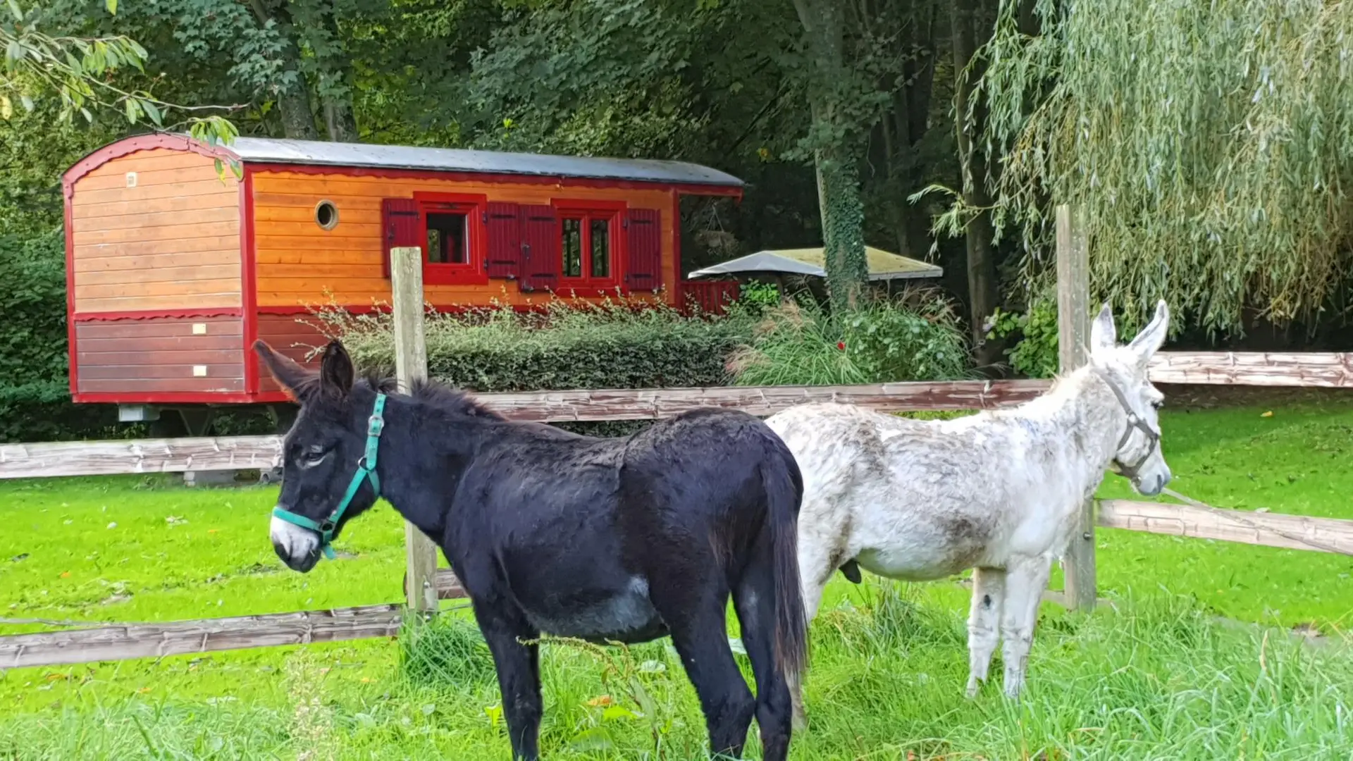 CRECY-EN-PONTHIEU Le petit paradis