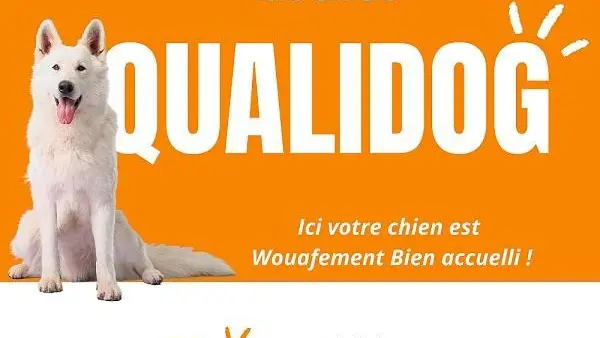 SAILLY FLIBEAUCOURT Le Studio 42