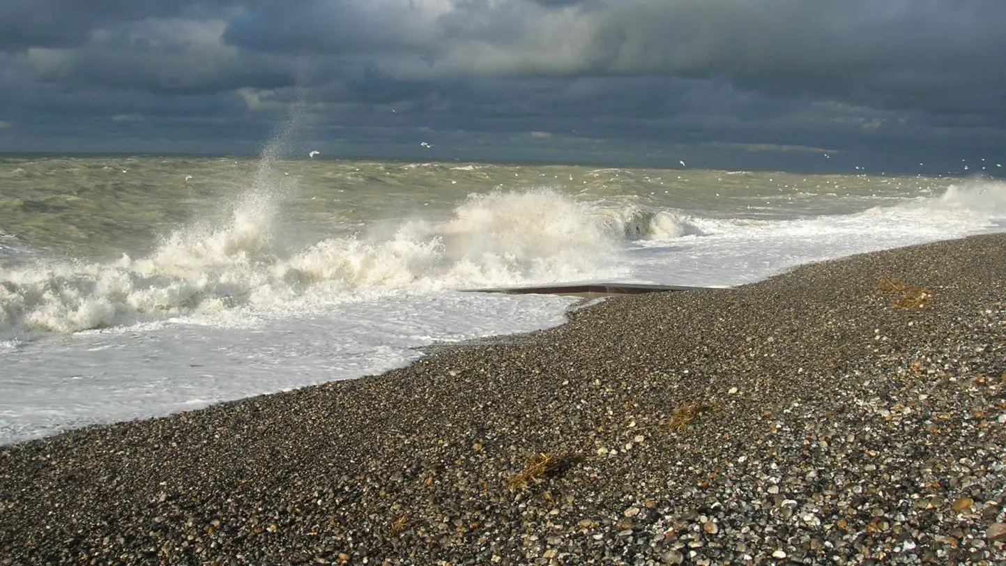 CAYEUX-SUR-MER L'HERMINE